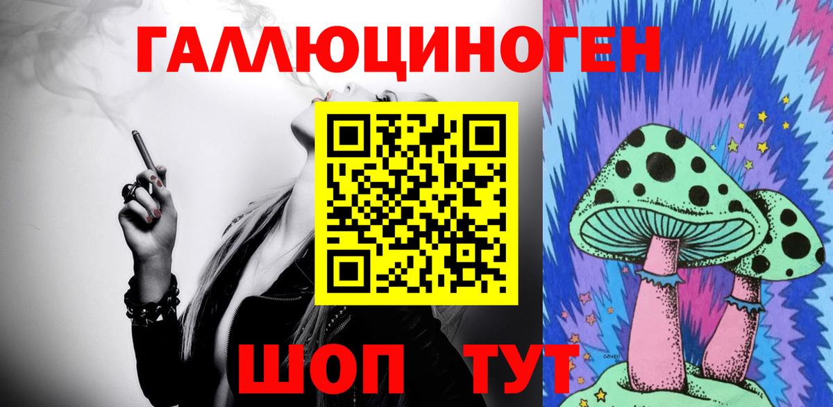 Псилоцибиновые грибы Psilocybe Зима