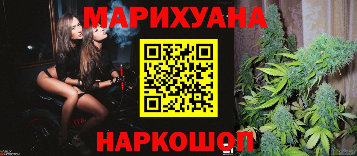 Канабис сатива  Каннабис планчик  Зима  Вход с VPN  Конопля тримм 